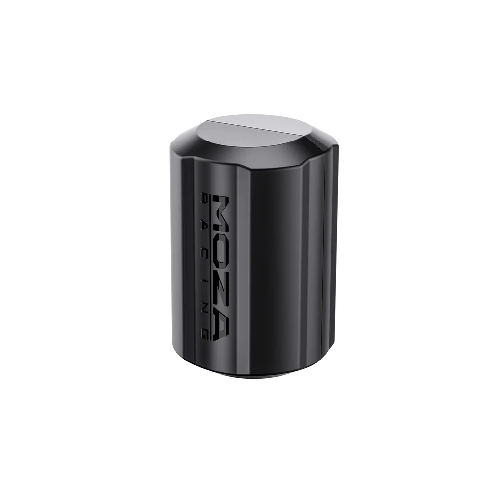 Moza Pedal Haptik Motor